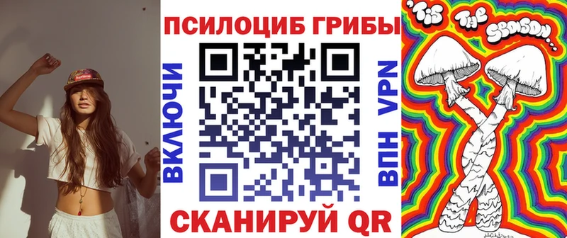 купить наркотики цена  Ветлуга  даркнет какой сайт  Псилоцибиновые грибы GOLDEN TEACHER  kraken зеркало 