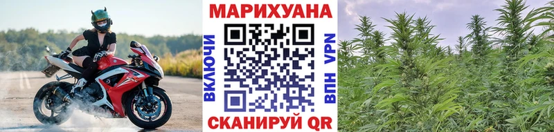 Шишки марихуана семена  kraken онион  площадка клад  дарнет шоп  Ветлуга 